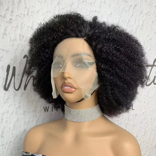 14" Afro Kinky Curly Human Hair Wigs Kinky Curly Lace Closure Wigs Brazilian Remy T Lace Front Wigs HairUGo High Density